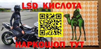 сатива Краснознаменск