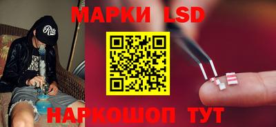 сатива Краснознаменск