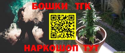 сатива Краснознаменск