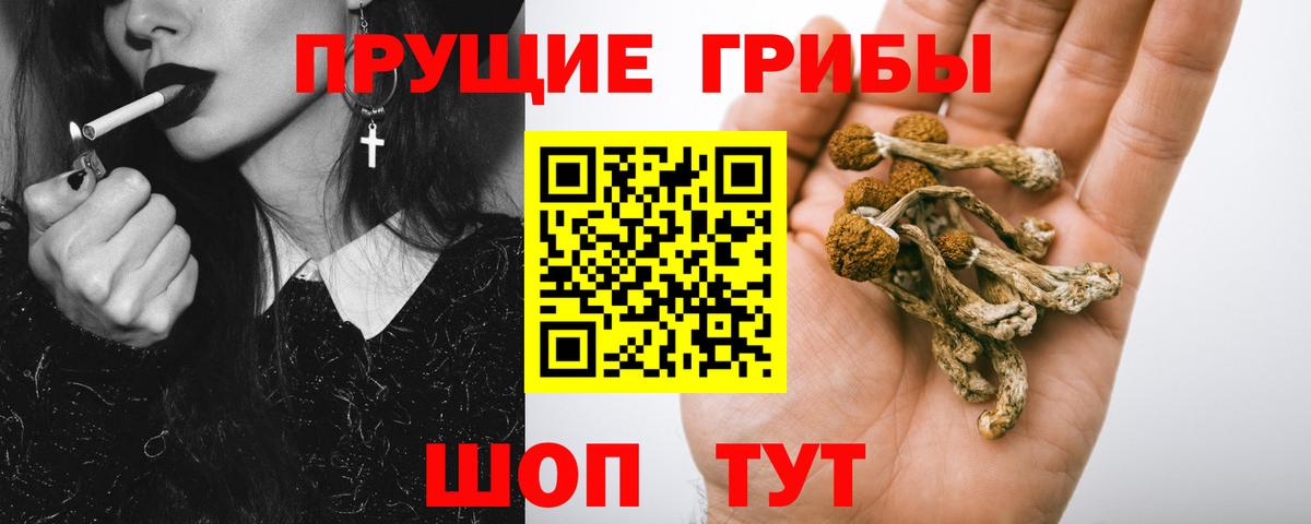 где купить наркоту  Галлюциногенные грибы Magic Shrooms  Вход с VPN  Псилоцибиновые грибы MAGIC MUSHROOMS  Егорьевск 